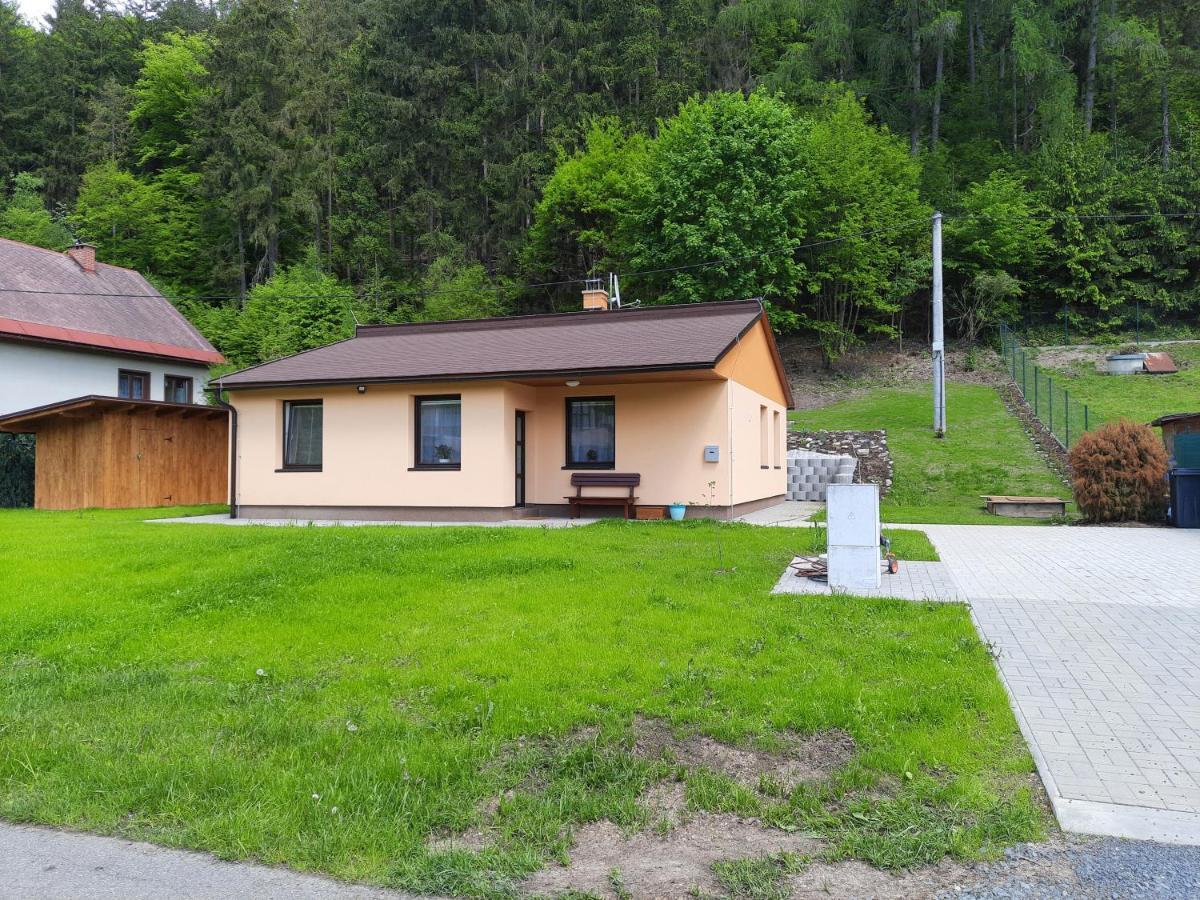 Lisny 105 Cely Novy Dum Se Zahradou U Jizery A Cyklo-Stezky New House By Jizera River And Bicycle Path Zelezny Brod Екстер'єр фото