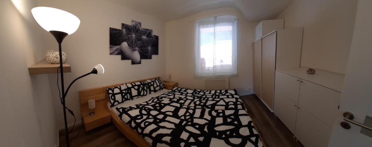 Lisny 105 Cely Novy Dum Se Zahradou U Jizery A Cyklo-Stezky New House By Jizera River And Bicycle Path Zelezny Brod Екстер'єр фото